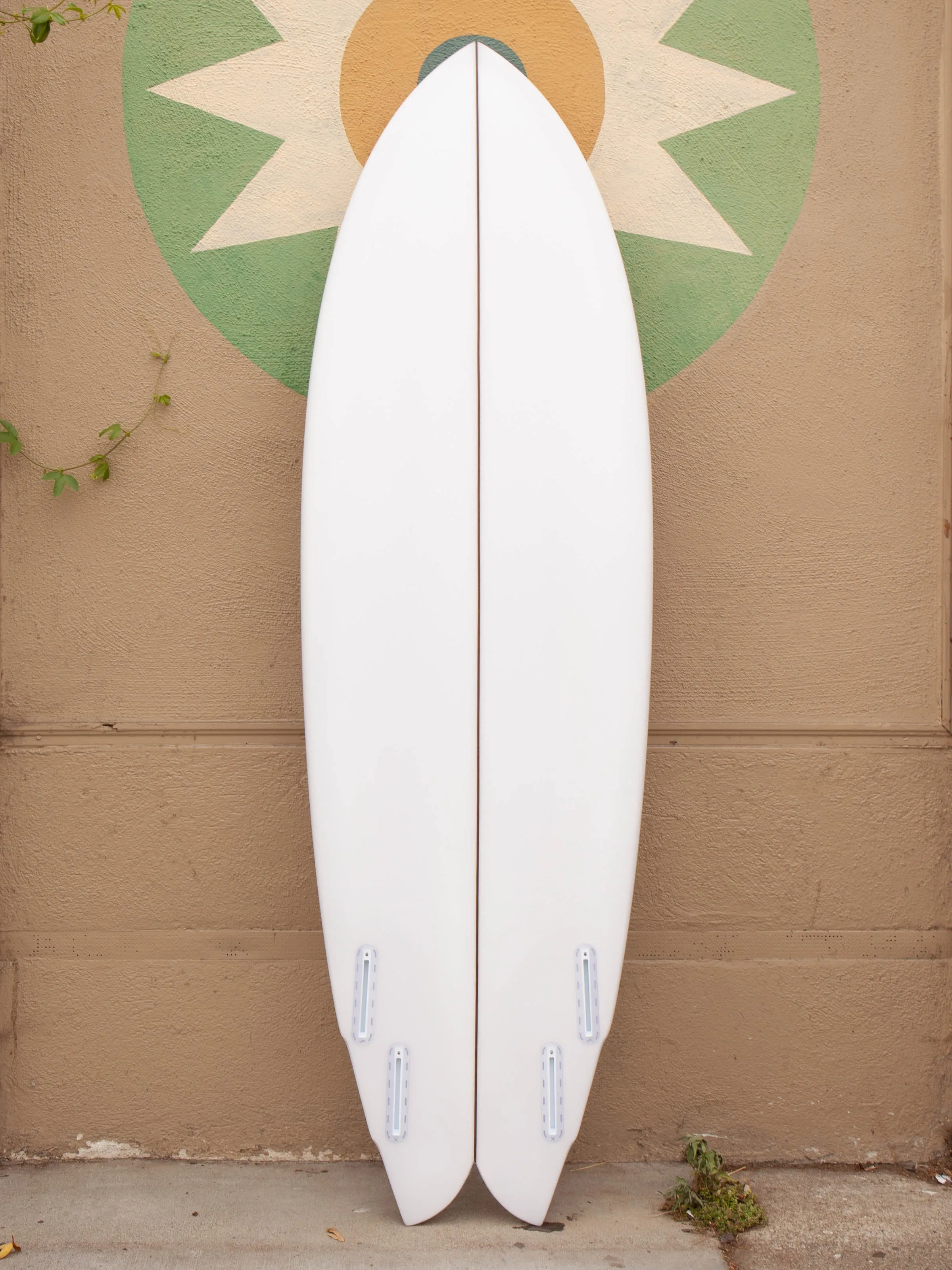 6'0 Rainbow Quad