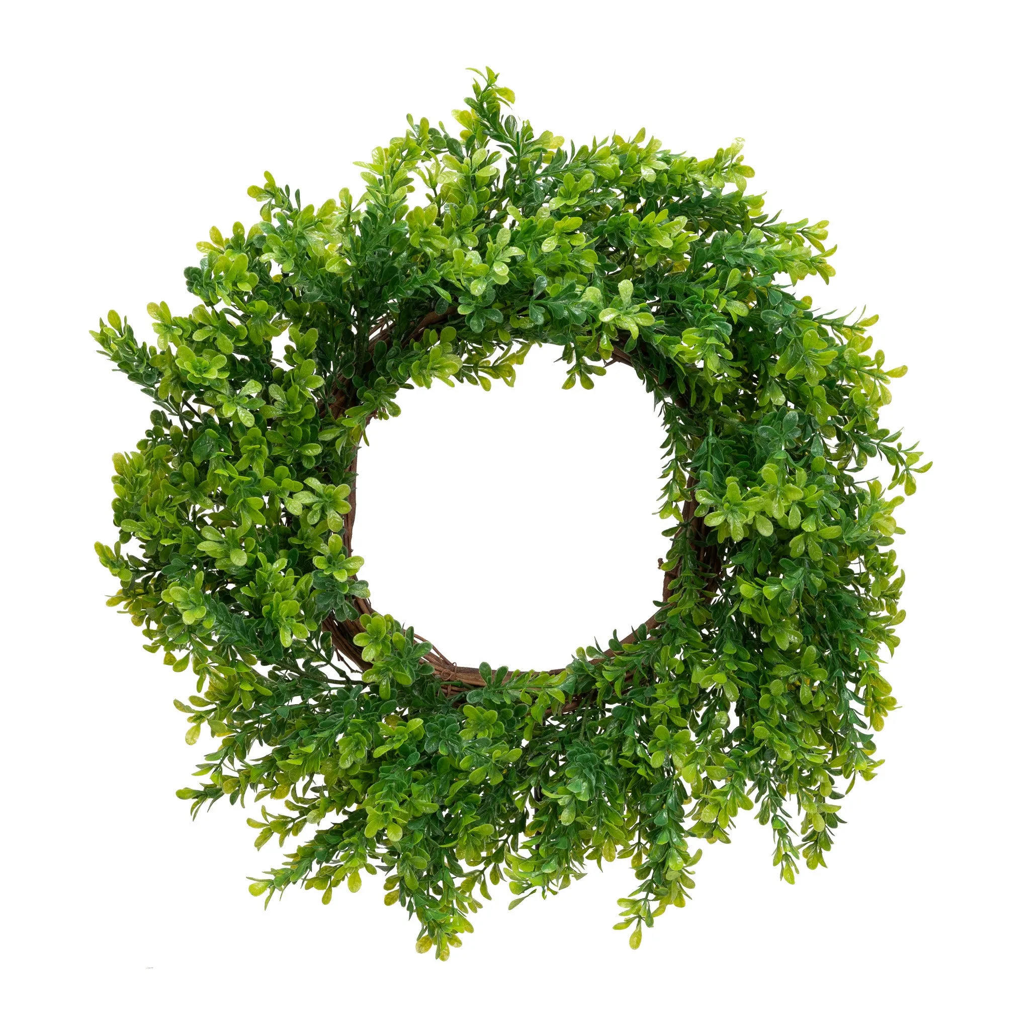 Boxwood Wreath - Light Green - 22 in