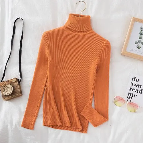 Women's Sweater Long Sleeve Sweaters & Cardigans Casual Solid Color